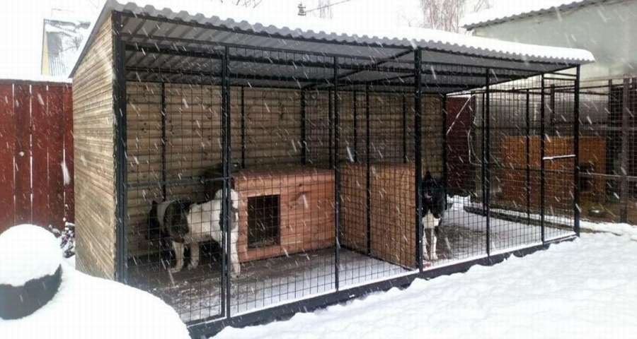 Вольер для нескольких собак. ТОП