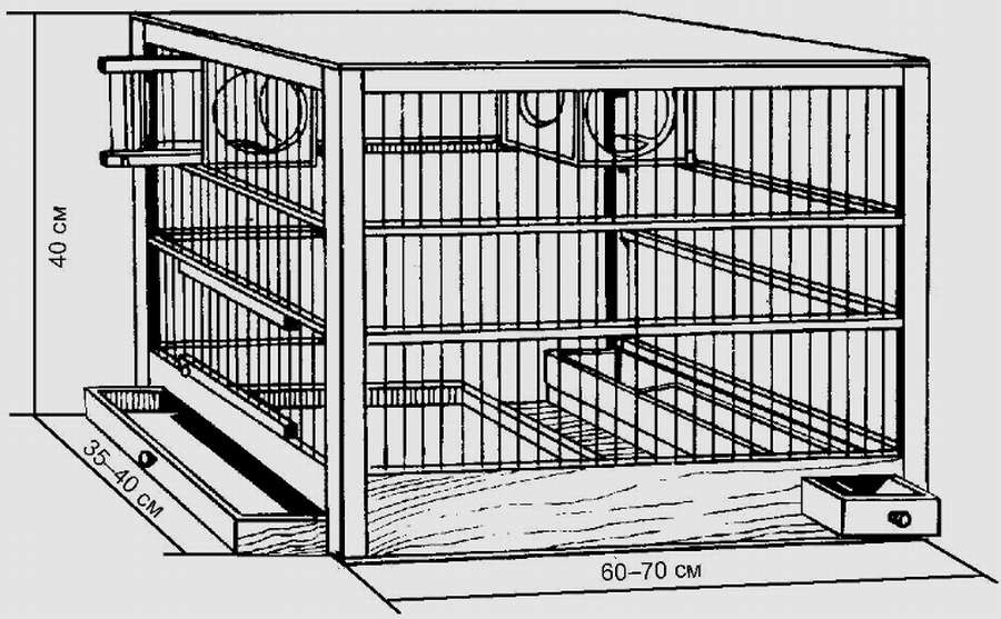 Клетка для птиц: 6 чертежей