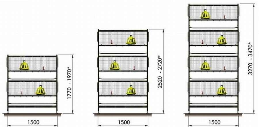 Клетки для бройлеров: 10 чертежей