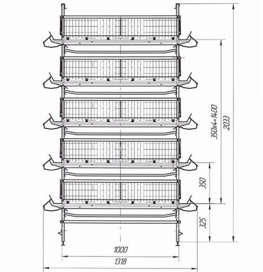 Клетки для бройлеров: 10 чертежей