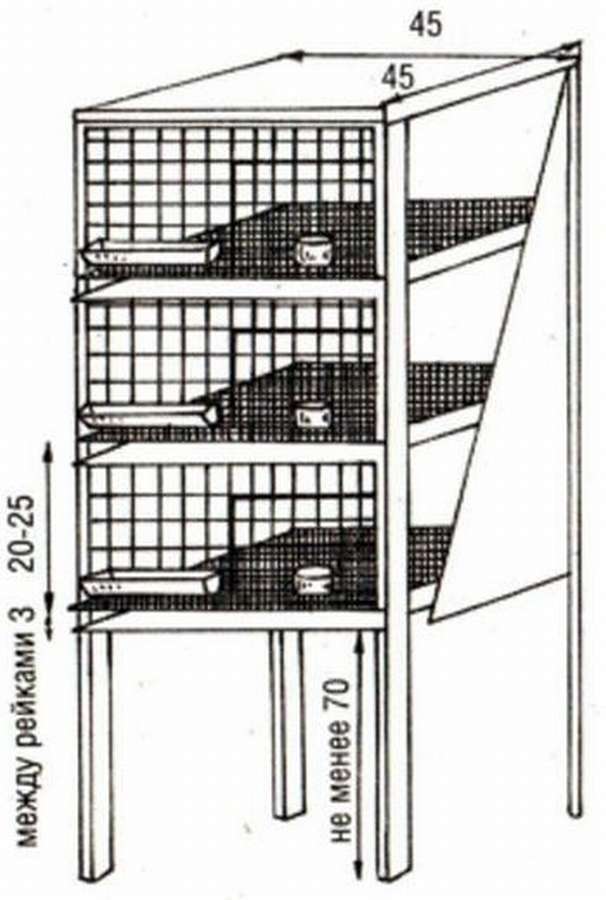Клетки для бройлеров: 10 чертежей