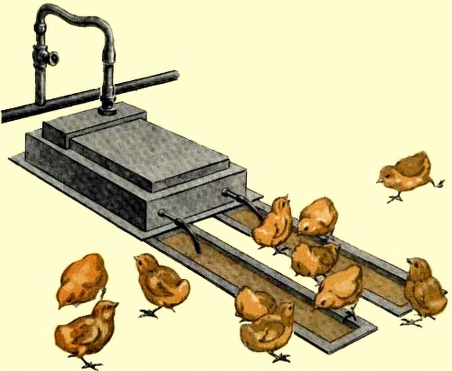 Поплавковые поилки для кур своими