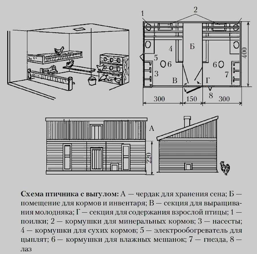 Курятник с выгулом: 12 чертежей