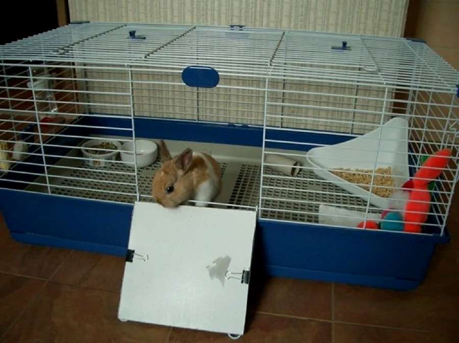 Клетка для домашних карликовых кроликов