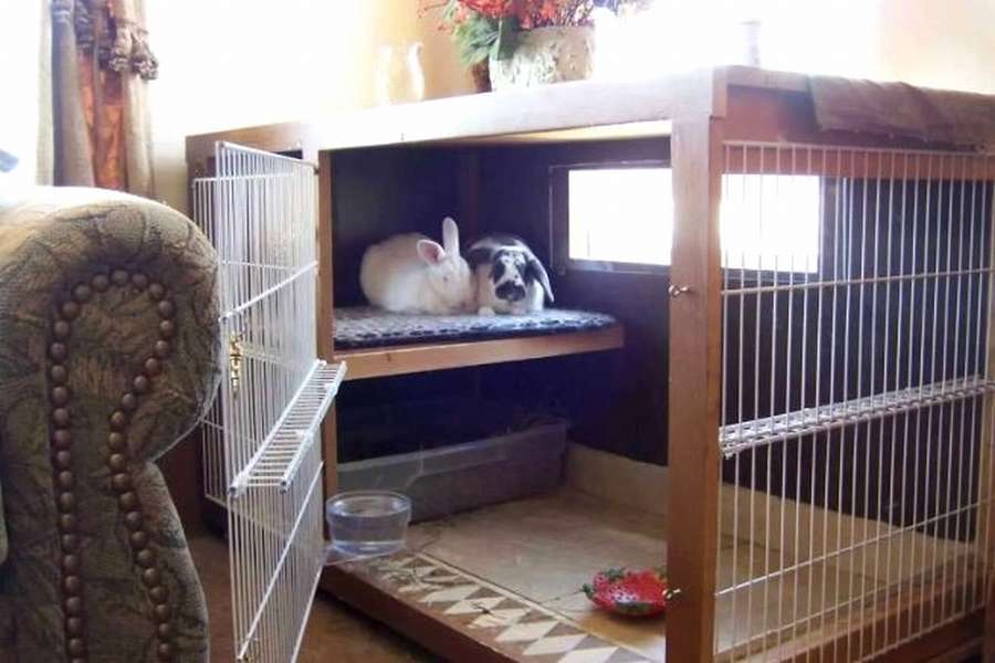 Клетка для домашних карликовых кроликов