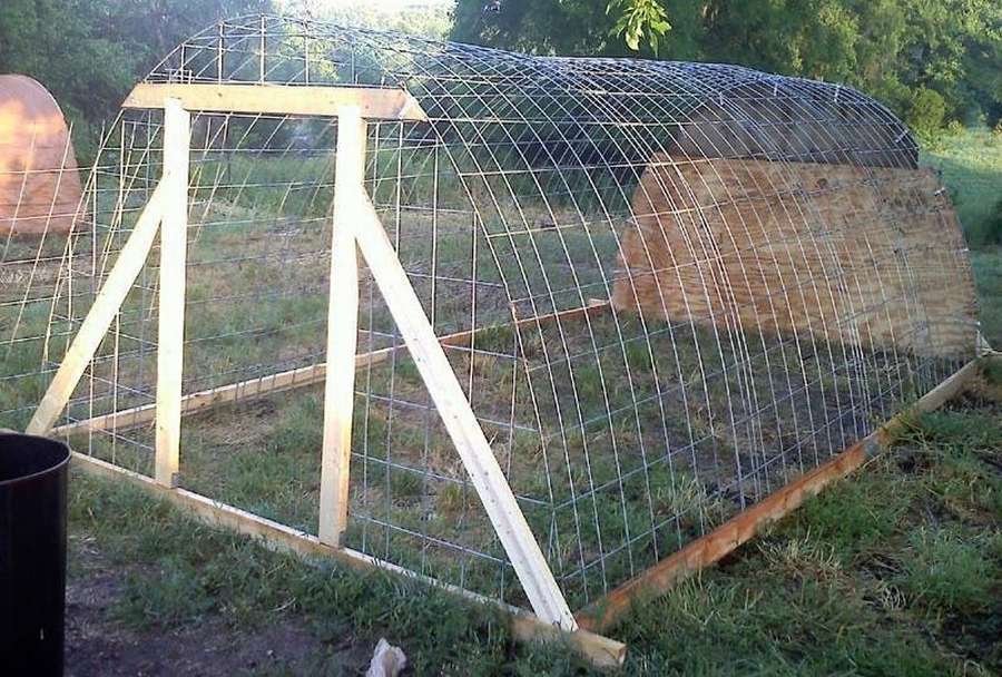 Курятник из сетки рабицы