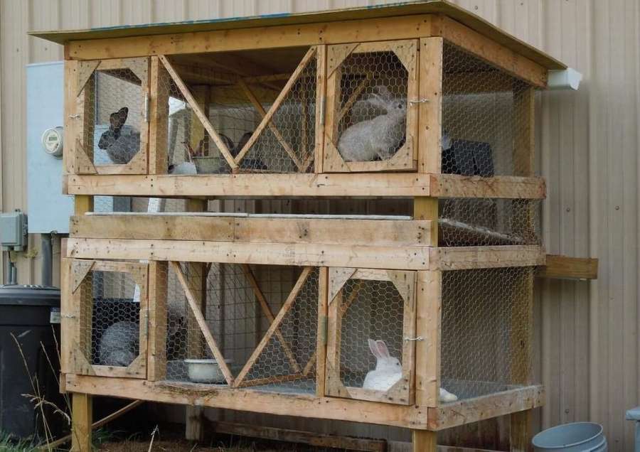 Многоярусные клетки кроликам из подручных