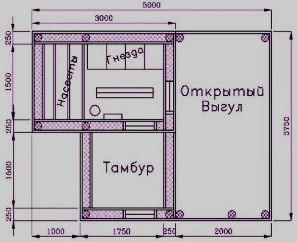 11 чертежей и схем курятников для 20 птиц. Своими руками