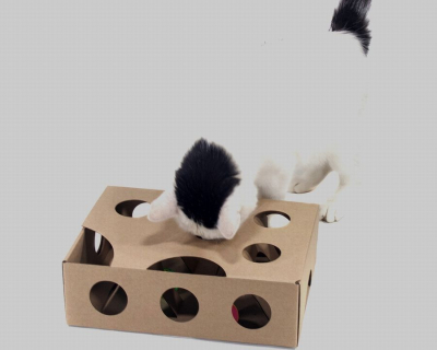 Коробок-игрушка для кошки: 10 интерактивных развивающих моделей