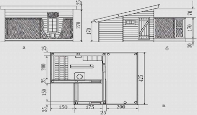 Зимний курятник: 10 чертежей, чтобы сделать самому (с размерами)