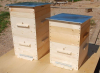 Виды ульев для пчел (своими руками) - наша подборка из 10 моделей
