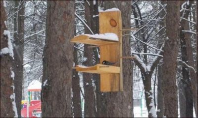 Деревянная кормушка для белочек из 3-х досок своими руками