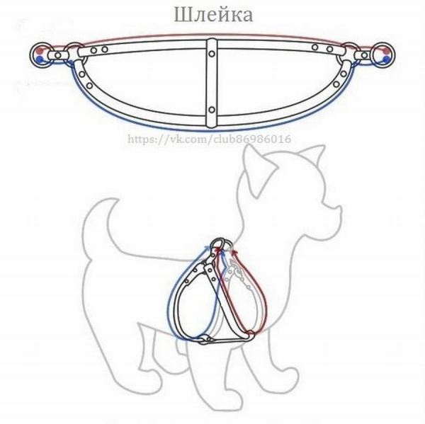 Выкройки - шлейка для собак своими руками (10 моделей)