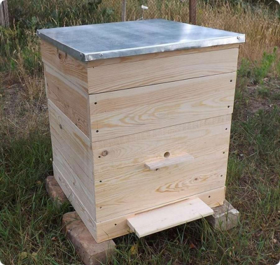10 идей из чего можно сделать улей для пчел своими руками