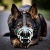 Намордник с зубами для собак (10 фото)